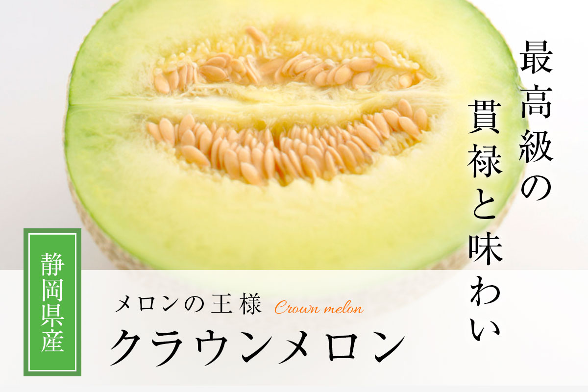 お歳暮 御歳暮 果物 フルーツ 神奈川県産中津川さんのキウイフルーツ 