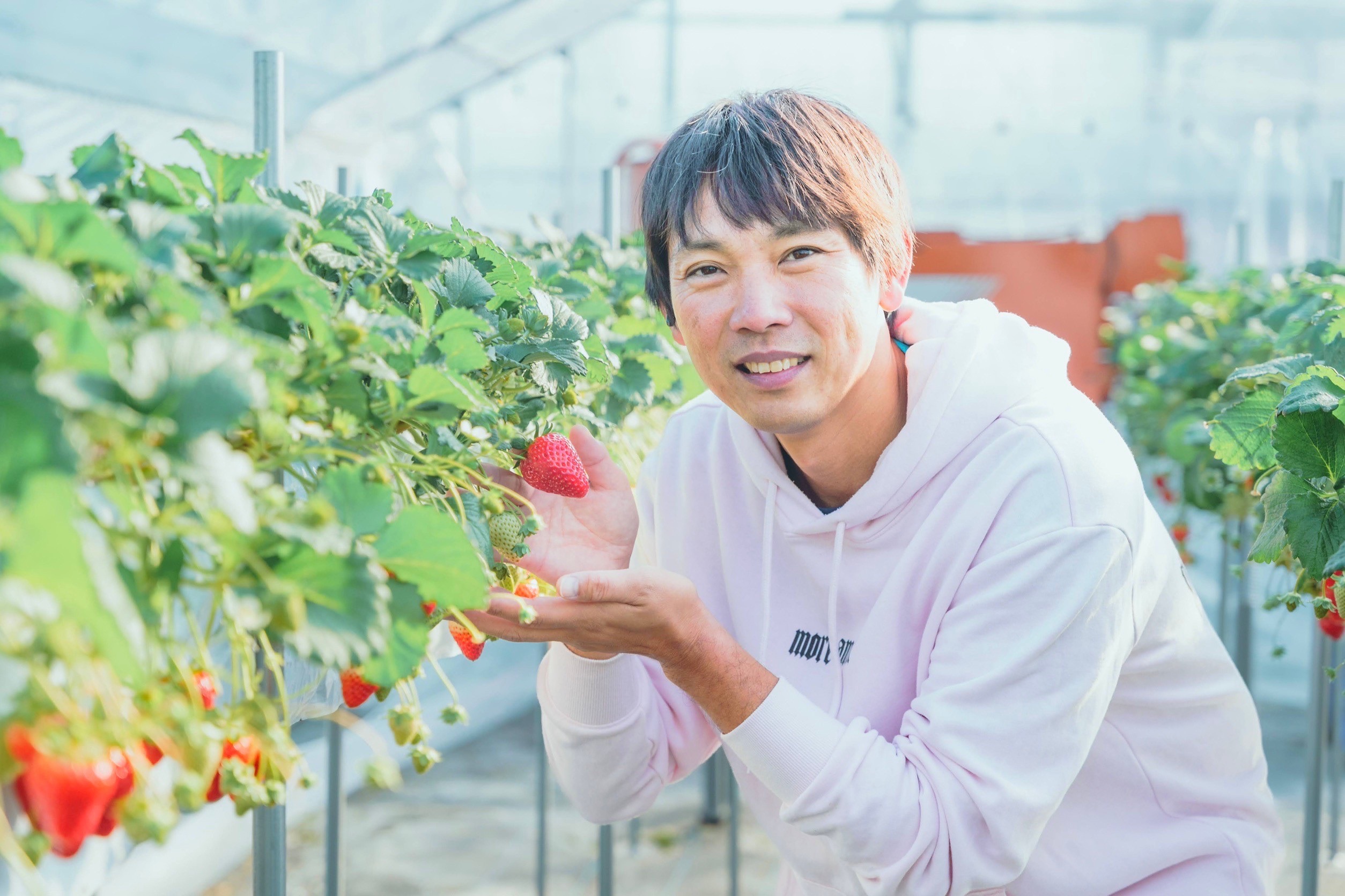 古都華（奈良県 伊致寐姑司 浩司郎)