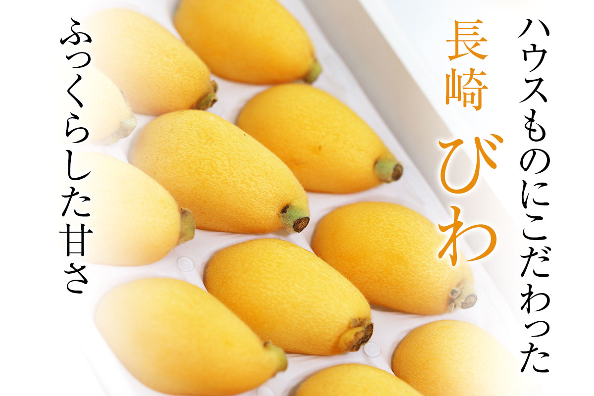 フルーツギフト お祝い お見舞い お中元 お歳暮などご贈答用 の通販 キムラフルーツ Online Shop