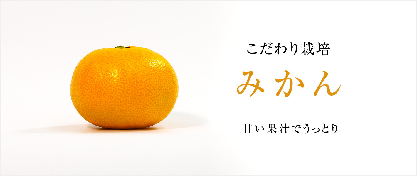 みかん